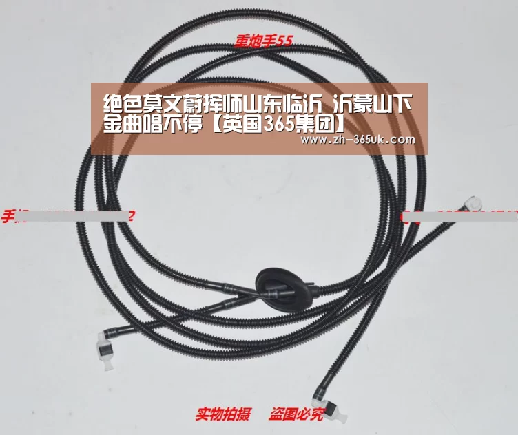 绝色莫文蔚挥师山东临沂 沂蒙山下金曲唱不停【英国365集团】(图2) 英国上市公司365