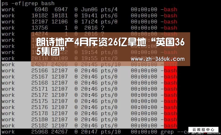 英国365集团
